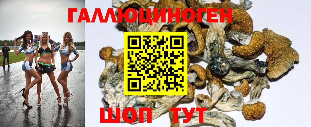 A-PVP Ростов Великий